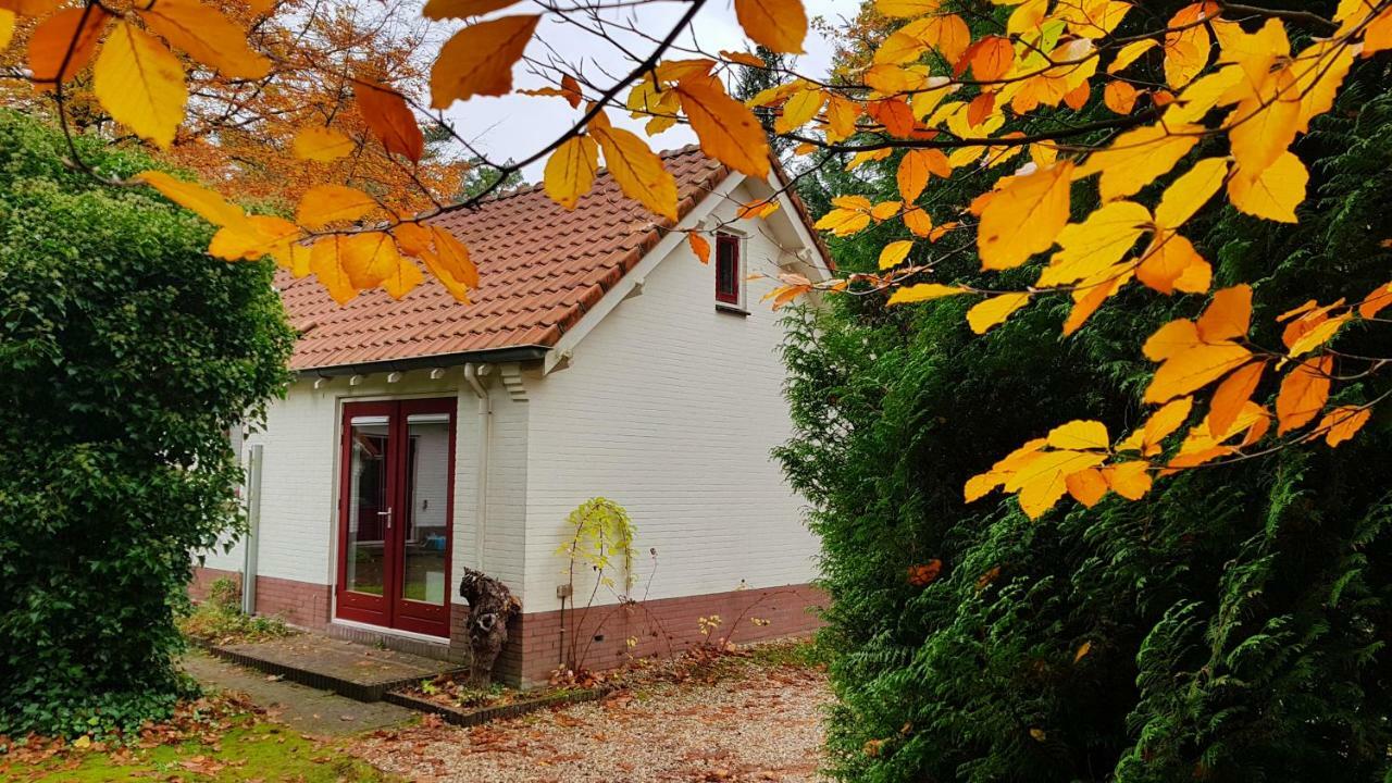 Dennenhuis Vaassen Extérieur photo